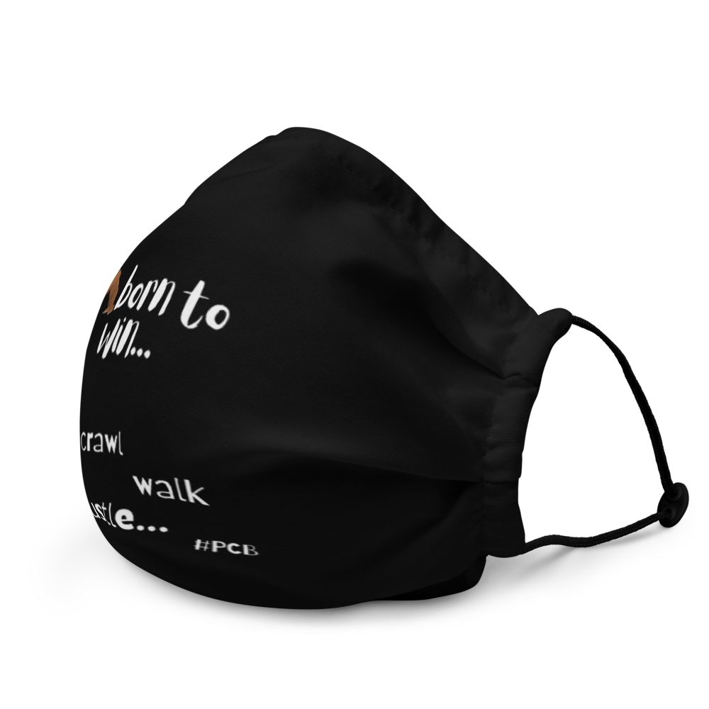 Premium face mask