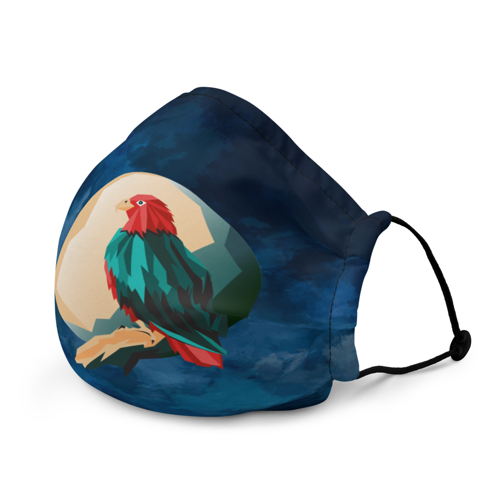 Premium face mask