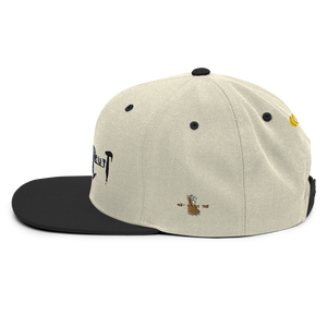 Snapback Hat