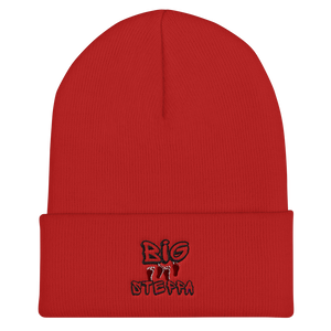 Cuffed Beanie