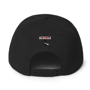 Snapback Hat