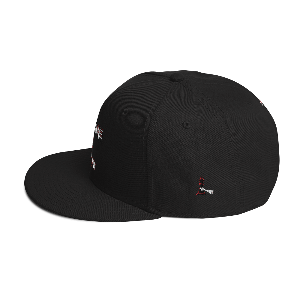 Snapback Hat